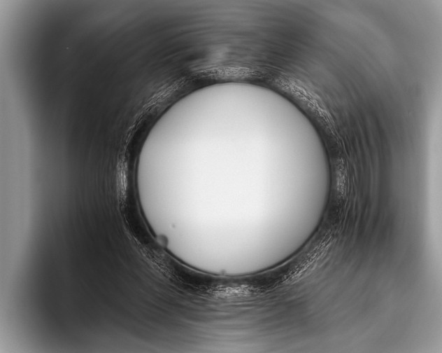 X0000096180206200802081506