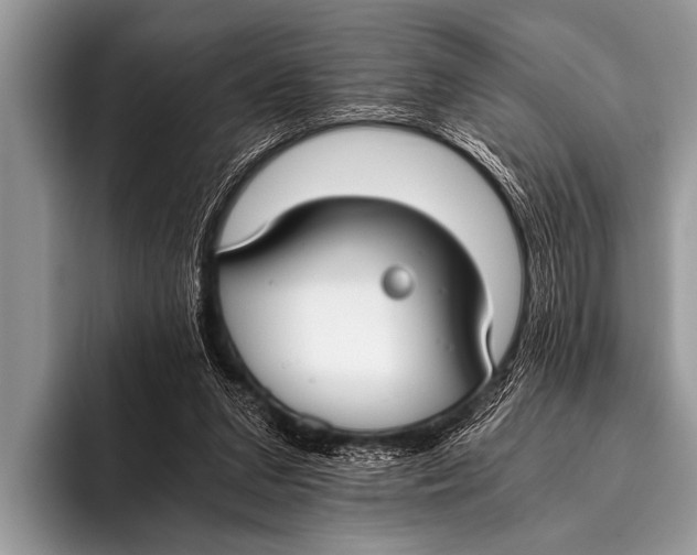 X0000096180207200802081506