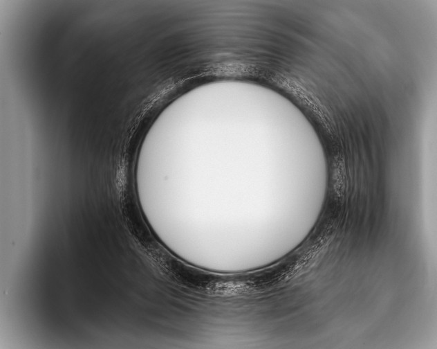 X0000096180208200802081506