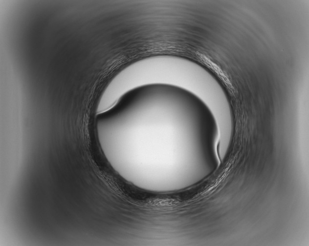 X0000096180209200802081506