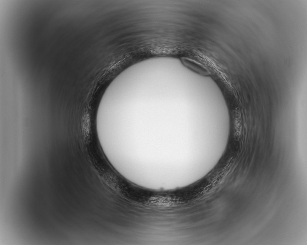 X0000096180211200802081506