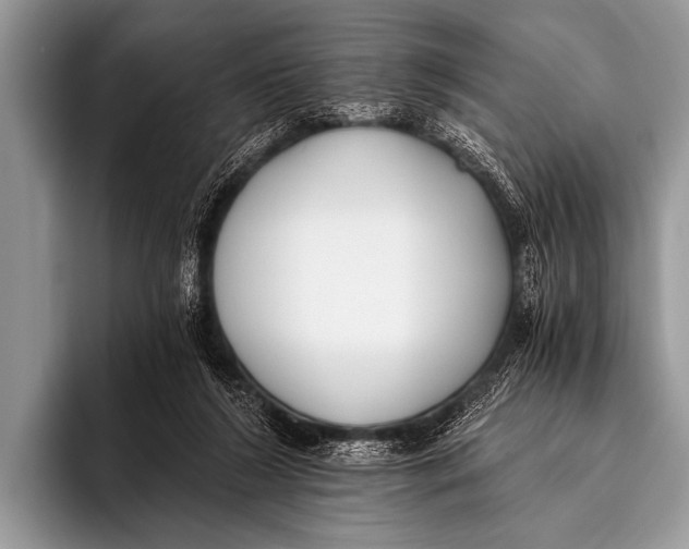 X0000096180212200802081506