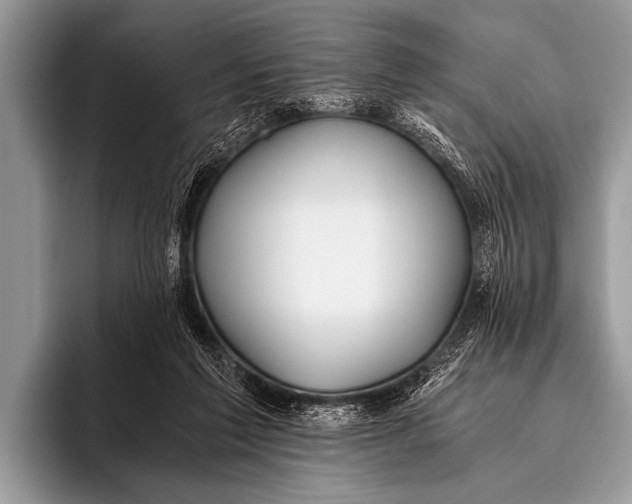 X0000096180213200802081506