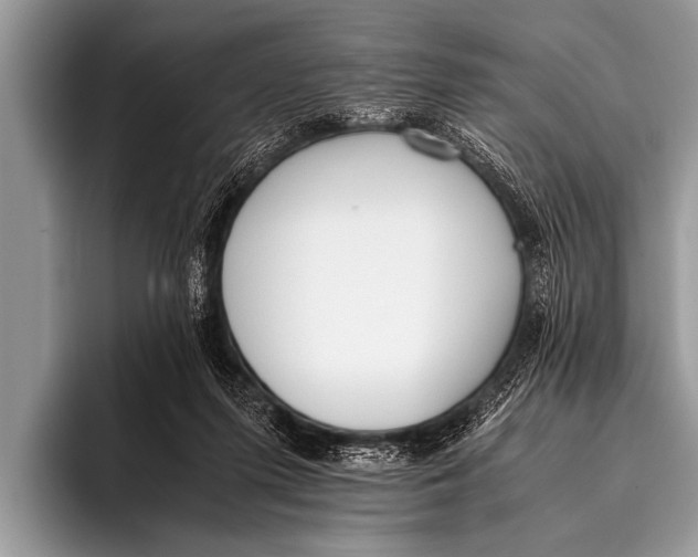 X0000096180215200802081506