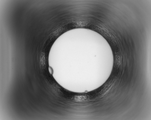 X0000096180220200802081506