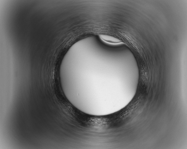 X0000096180221200802081506