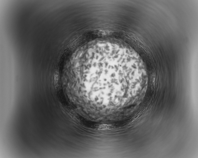 X0000096180222200802081506