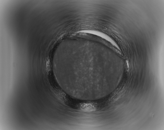 X0000096180224200802081506
