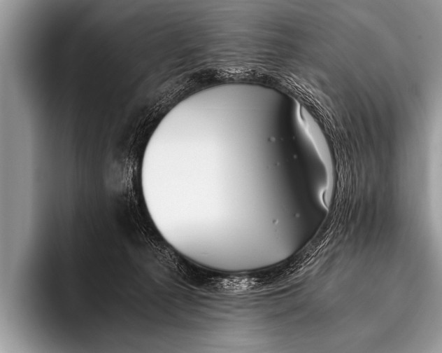X0000096180225200802081506