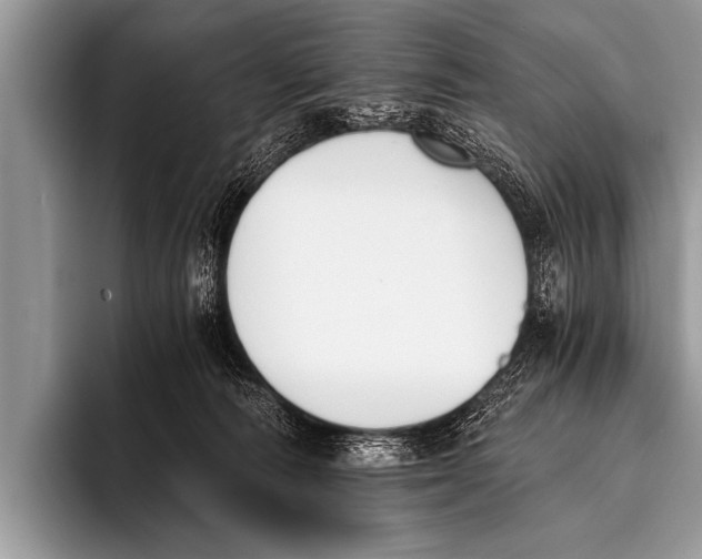 X0000096180226200802081506