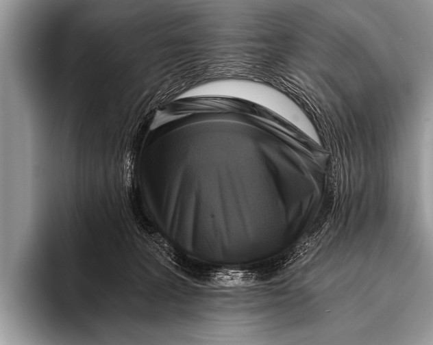 X0000096180227200802081506