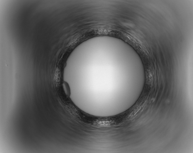 X0000096180228200802081506