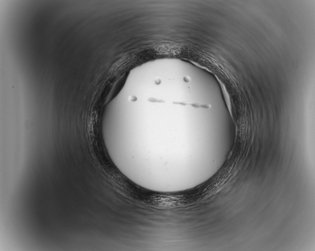 X0000096180229200802081506