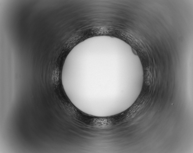 X0000096180230200802081506