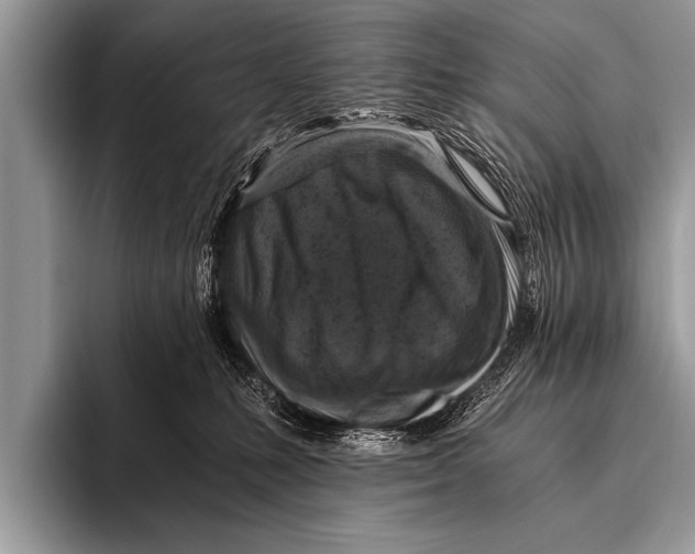 X0000096180231200802081506