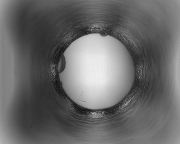 X0000096180232200802081506
