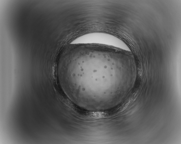 X0000096180233200802081506