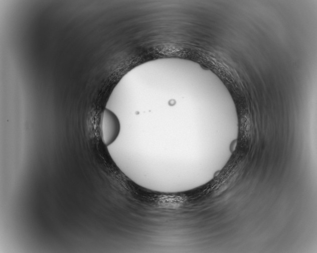 X0000096180234200802081506