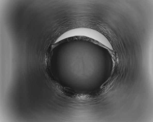 X0000096180235200802081506