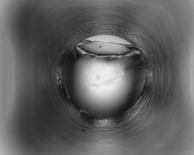 X0000096180237200802081506