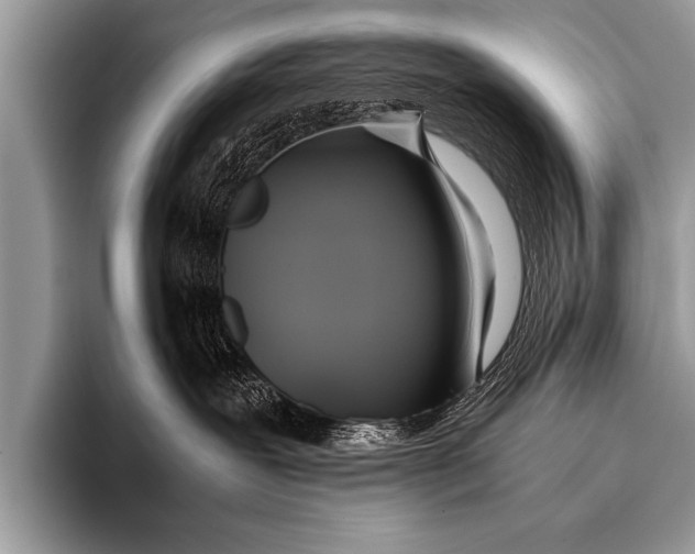 X0000096180239200802081506