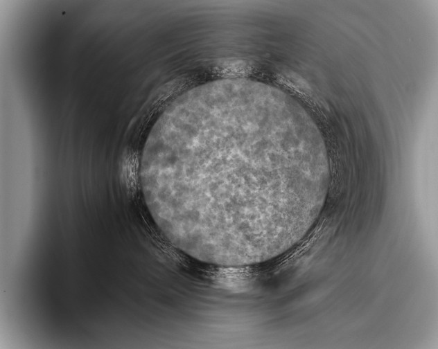 X0000096180240200802081506