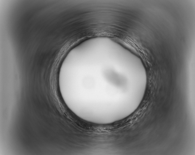 X0000096180241200802081505
