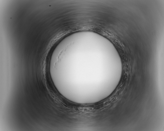 X0000096180242200802081505