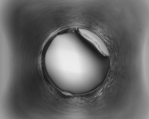 X0000096180244200802081505