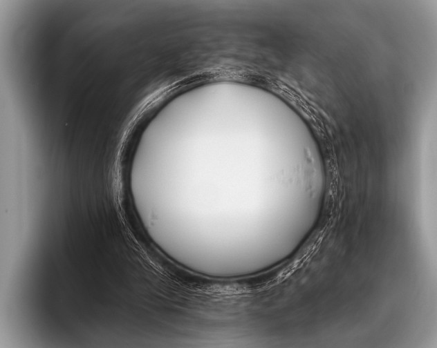 X0000096180245200802081505