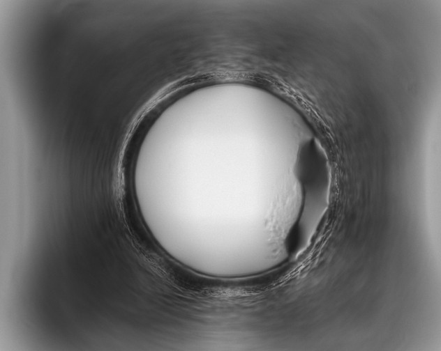 X0000096180246200802081505