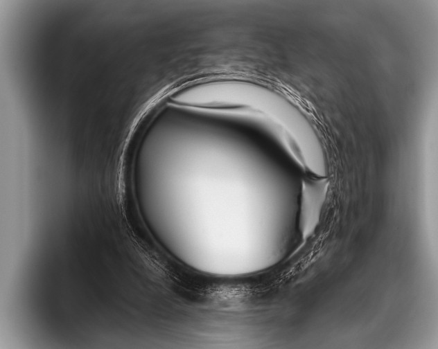 X0000096180248200802081505