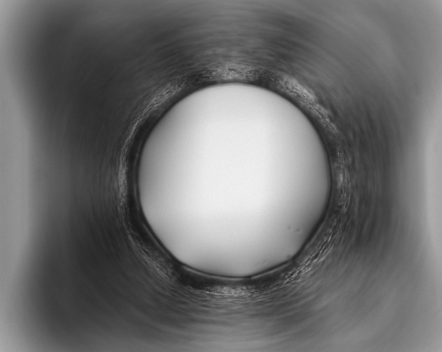 X0000096180250200802081505