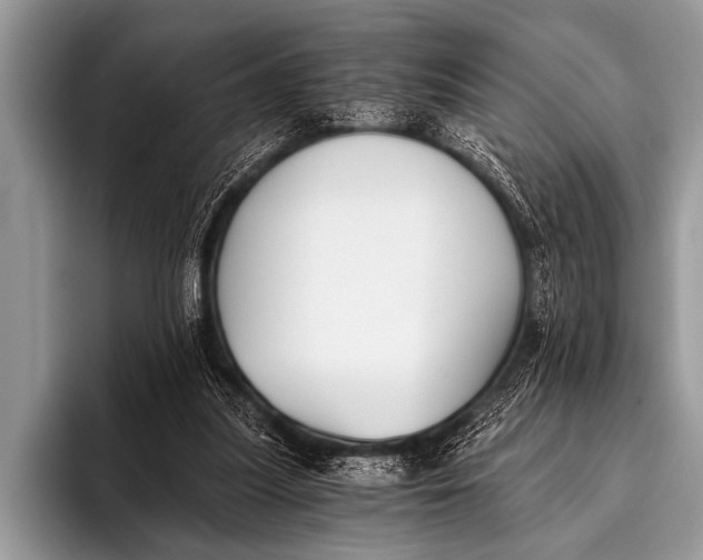 X0000096180251200802081505