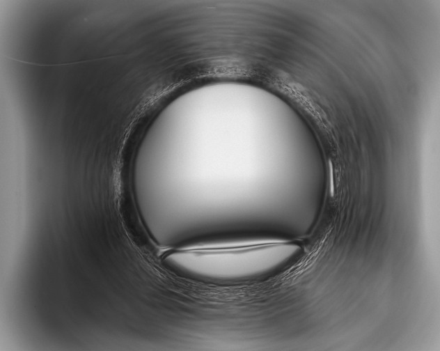 X0000096180252200802081505