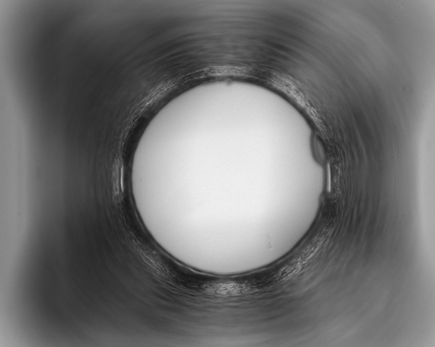 X0000096180253200802081505