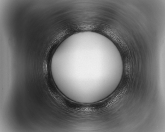 X0000096180254200802081505