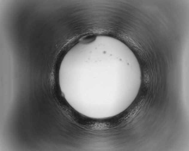 X0000096180256200802081505