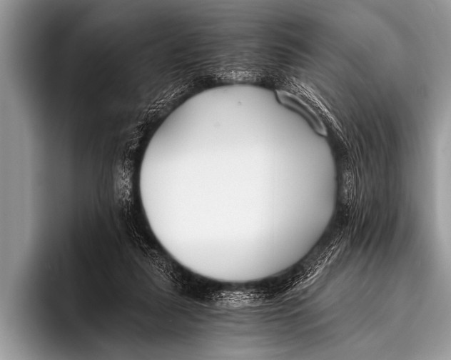 X0000096180259200802081505