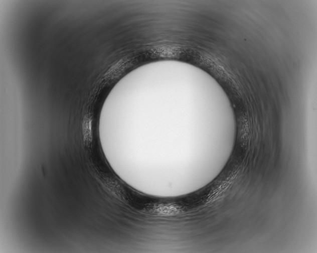 X0000096180262200802081505
