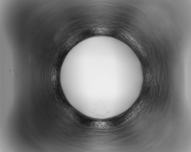 X0000096180265200802081505