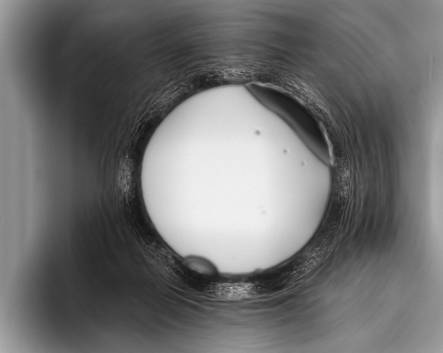 X0000096180266200802081505