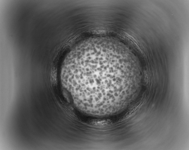 X0000096180267200802081505