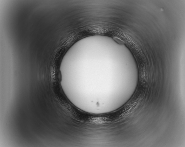 X0000096180268200802081505