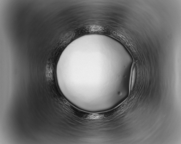 X0000096180269200802081505
