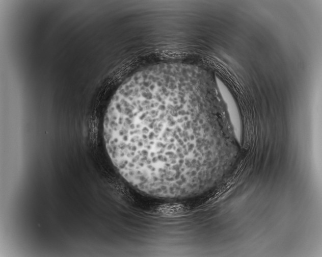 X0000096180271200802081505