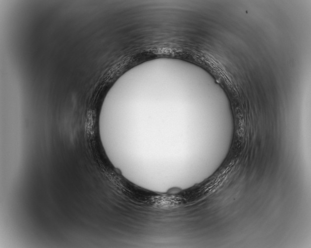 X0000096180273200802081505