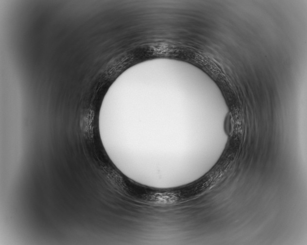 X0000096180275200802081505