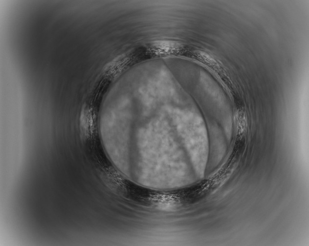 X0000096180276200802081505