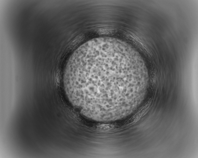 X0000096180277200802081505
